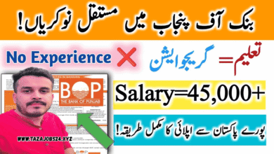 Bank Of Punjab Jobs