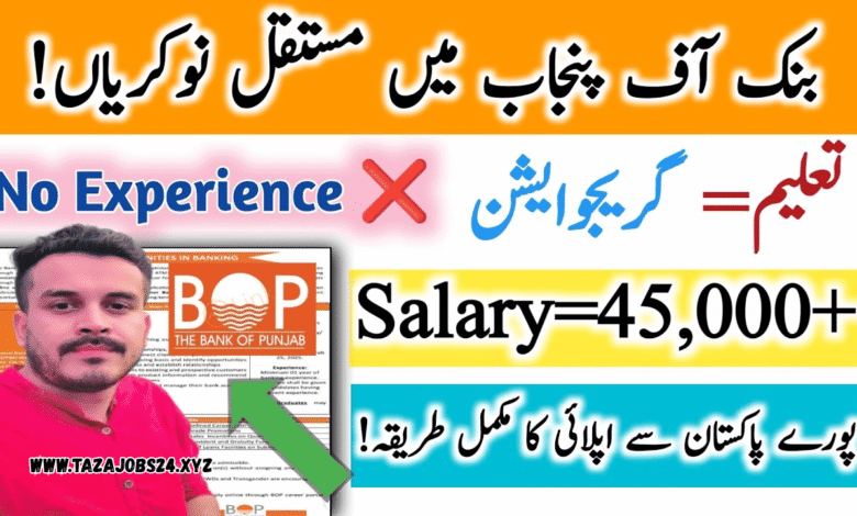 Bank Of Punjab Jobs