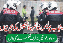 Dolphin Police Jobs