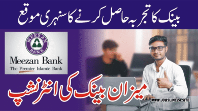 Meezan Bank Jobs