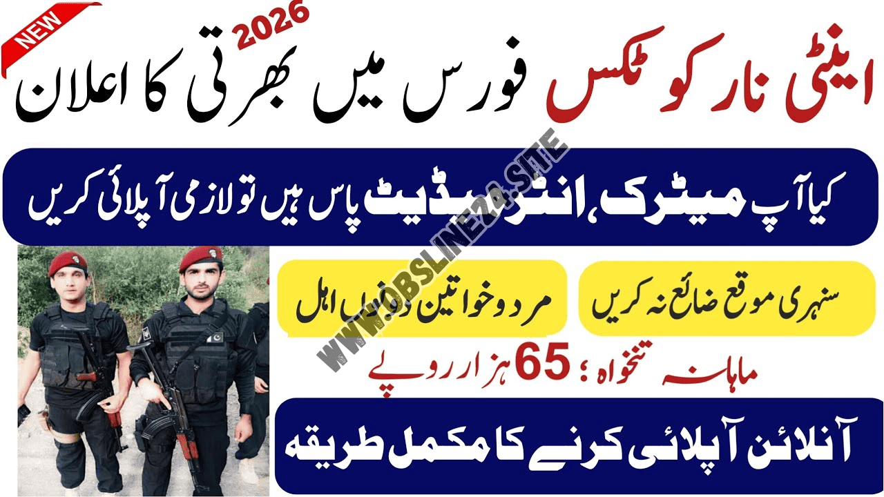 Punjab Anti Narcotics Force Jobs