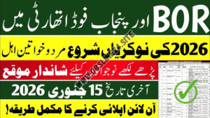 Punjab Food Authority Jobs